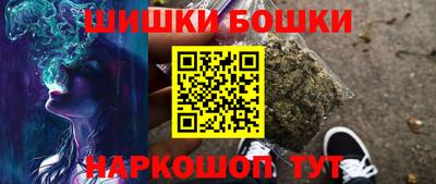 прущие грибы Будённовск