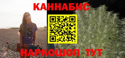 прущие грибы Будённовск