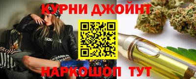 прущие грибы Будённовск