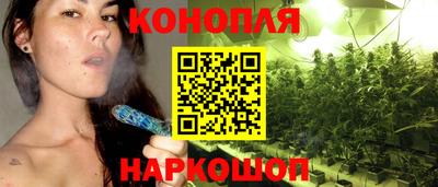 прущие грибы Будённовск