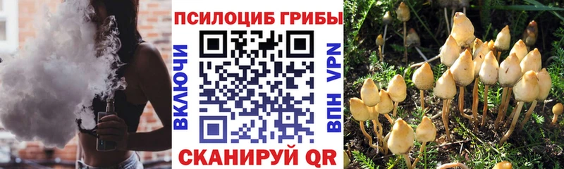 магазин продажи наркотиков  Кстово  omg tor  Галлюциногенные грибы мицелий 