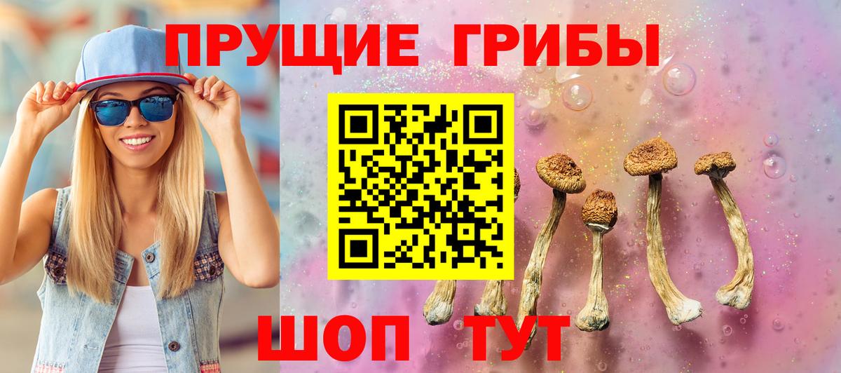 Галлюциногенные грибы Psilocybine cubensis Кстово