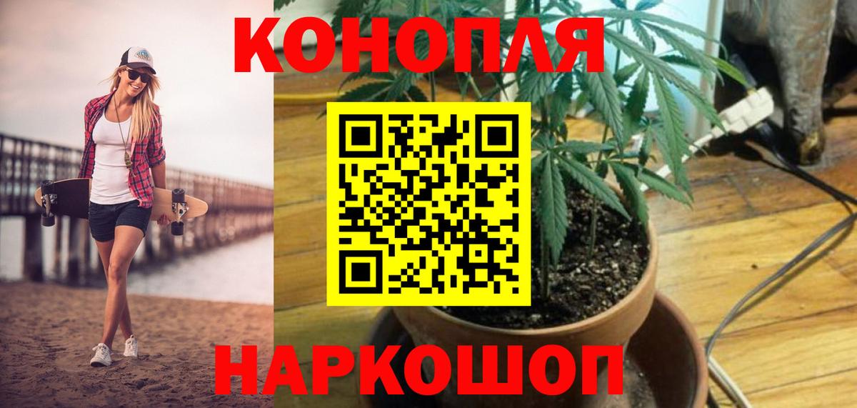 Бошки марихуана ГИДРОПОН  Шишки марихуана семена  Кстово  Вход с VPN  Канабис ГИДРОПОН 
